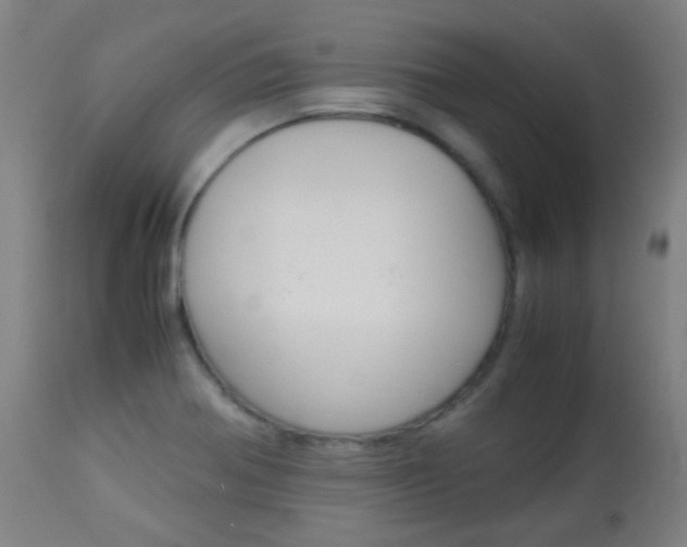 X0000113911370200909241255