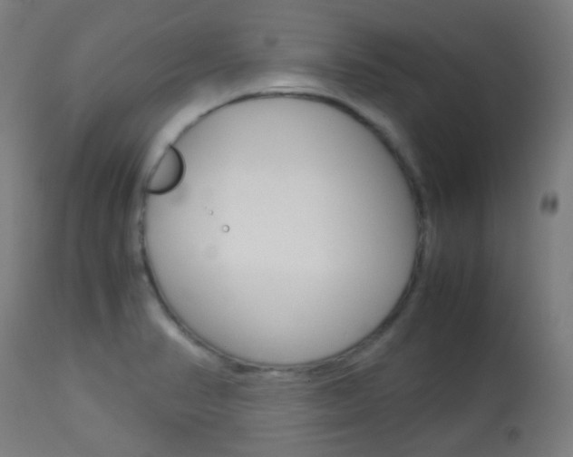 X0000113911374200909241255