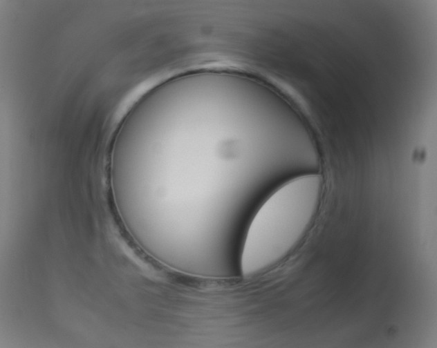 X0000113911375200909241255