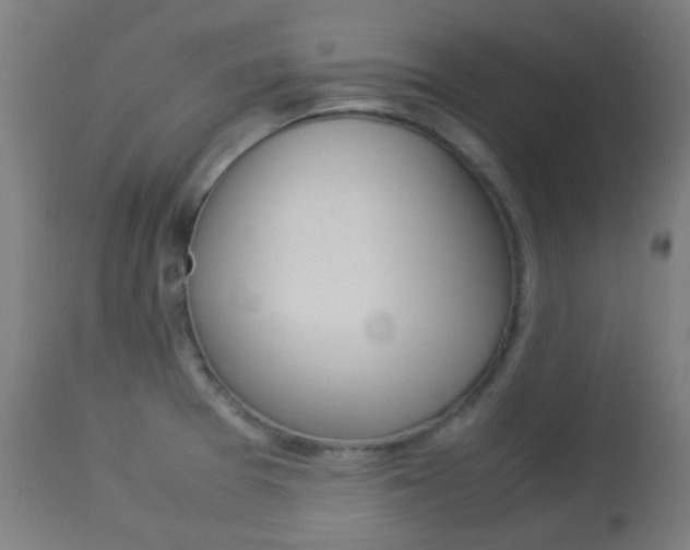 X0000113911377200909241255