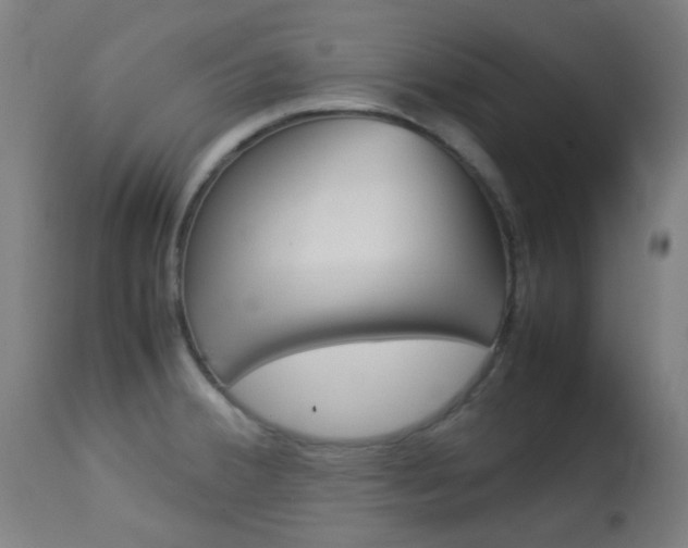X0000113911380200909241255