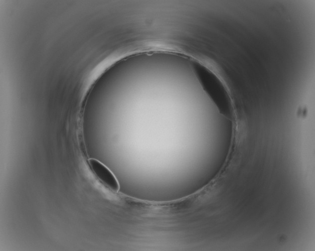 X0000113911381200909241255