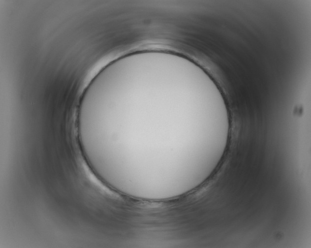X0000113911382200909241255