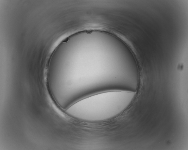 X0000113911383200909241255