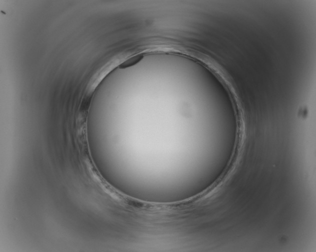 X0000113911385200909241255