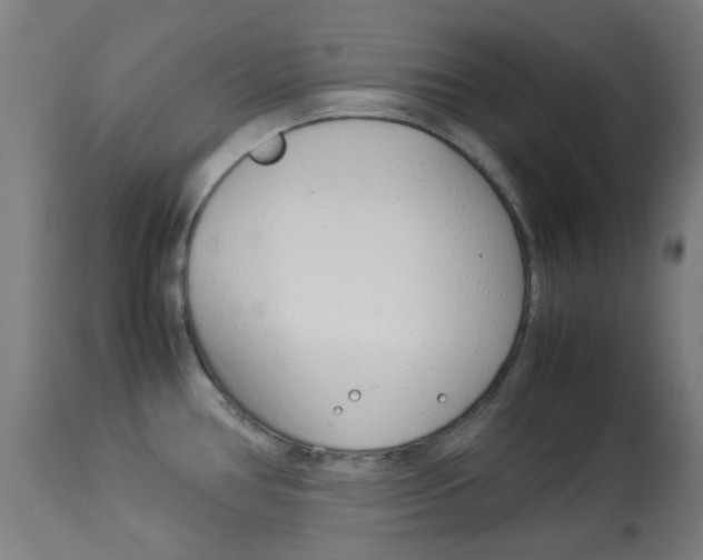 X0000113911386200909241255