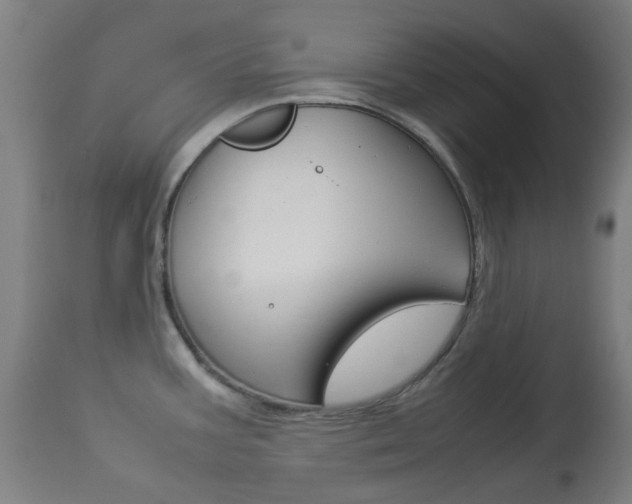 X0000113911387200909241255