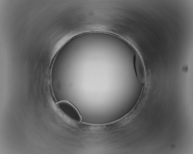 X0000113911389200909241255