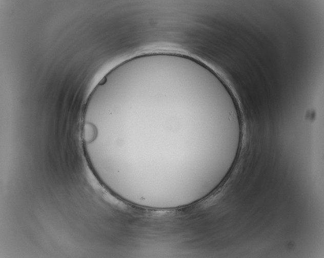 X0000113911390200909241255