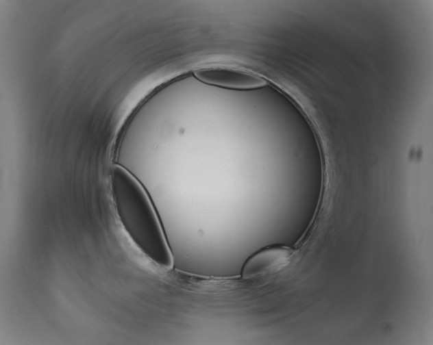 X0000113911392200909241255