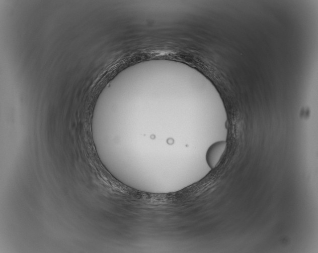 X0000113911393200909241254