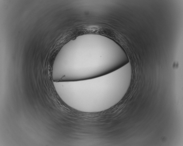 X0000113911394200909241254