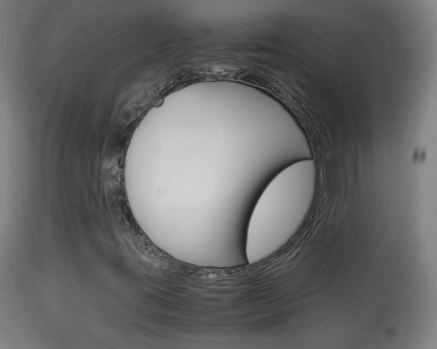 X0000113911395200909241254