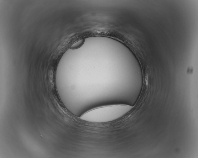 X0000113911396200909241254
