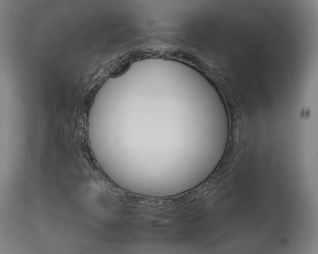 X0000113911397200909241254