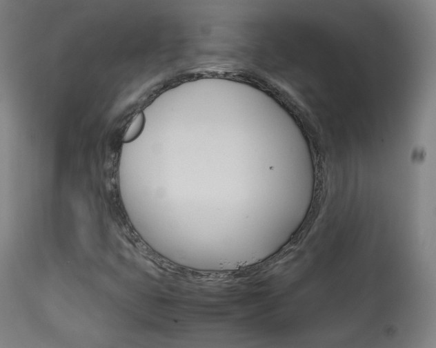 X0000113911399200909241254