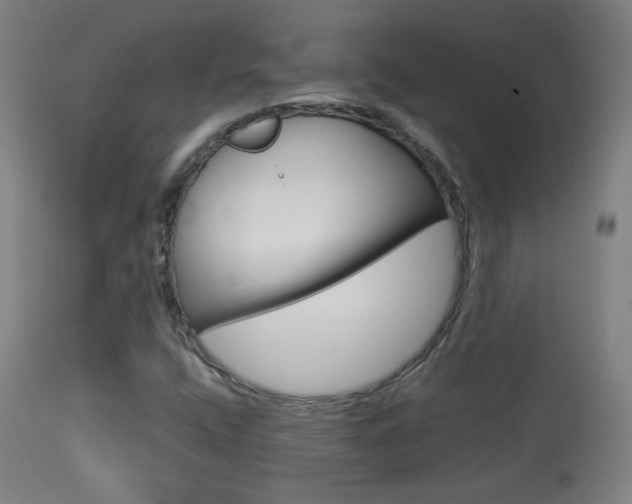 X0000113911400200909241254