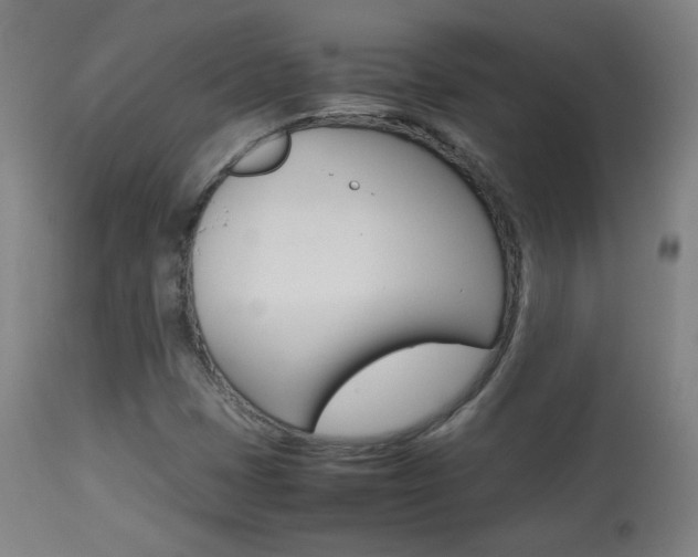 X0000113911401200909241254