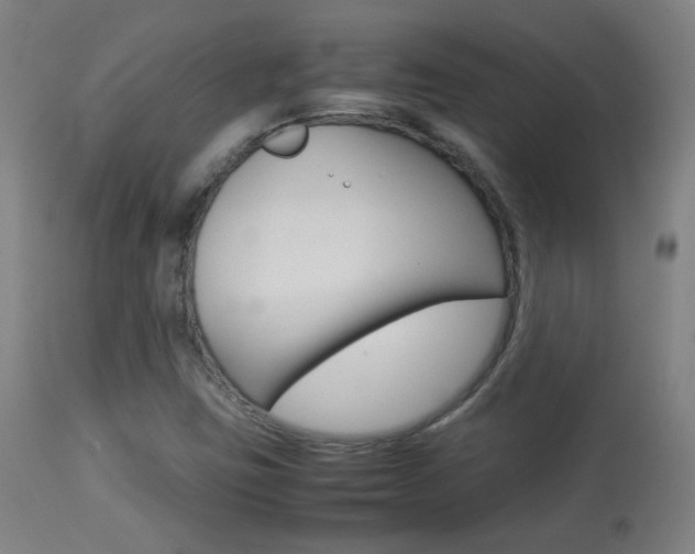 X0000113911403200909241254
