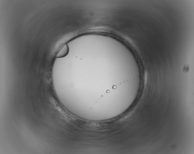 X0000113911405200909241254
