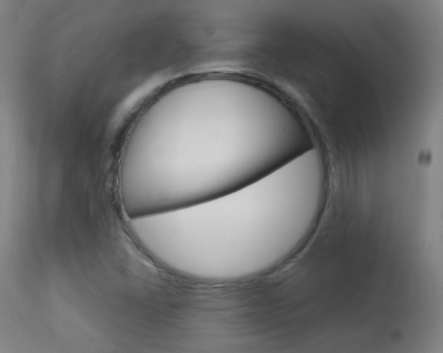 X0000113911406200909241254