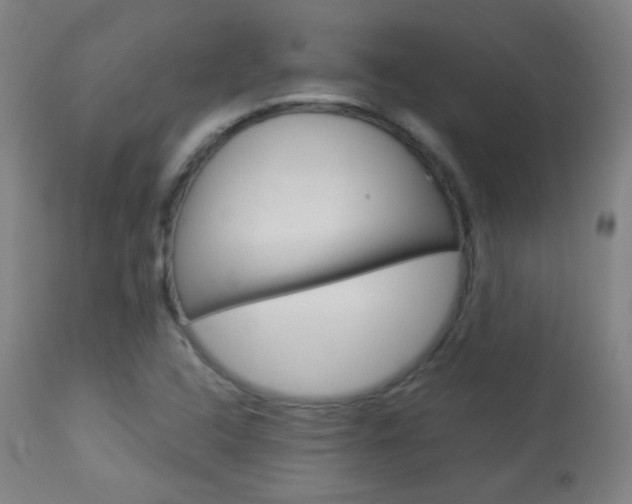 X0000113911408200909241254