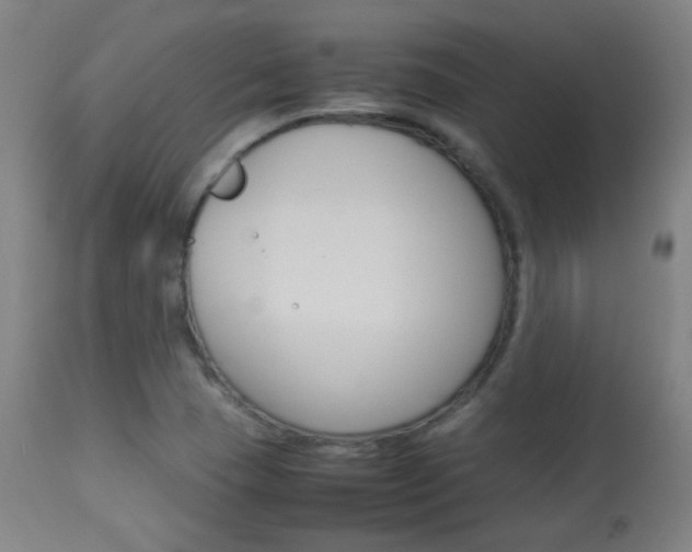 X0000113911409200909241254