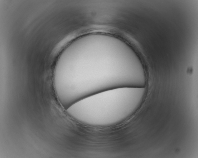 X0000113911411200909241254