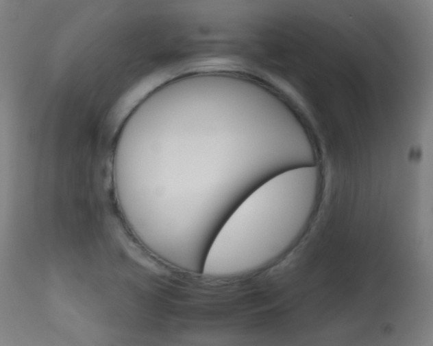X0000113911413200909241254
