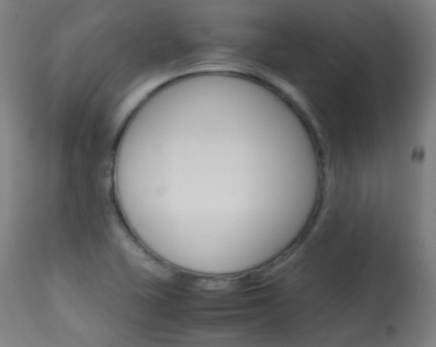 X0000113911415200909241254