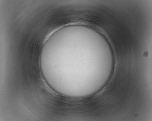 X0000113911417200909241254