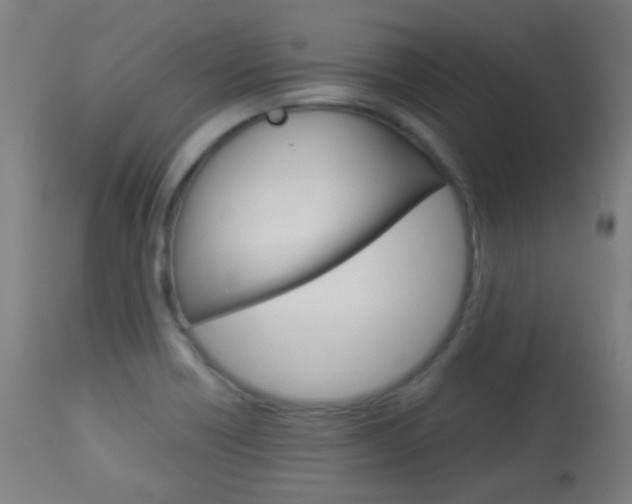 X0000113911418200909241254
