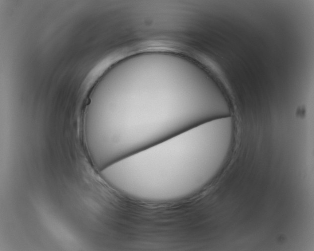 X0000113911419200909241254