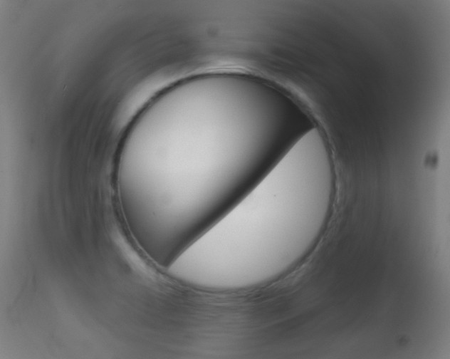 X0000113911422200909241254
