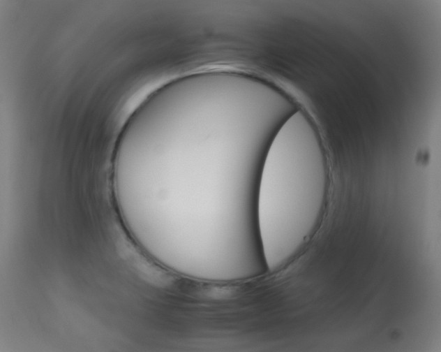 X0000113911423200909241254