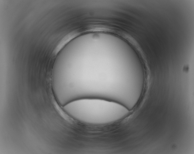 X0000113911425200909241254