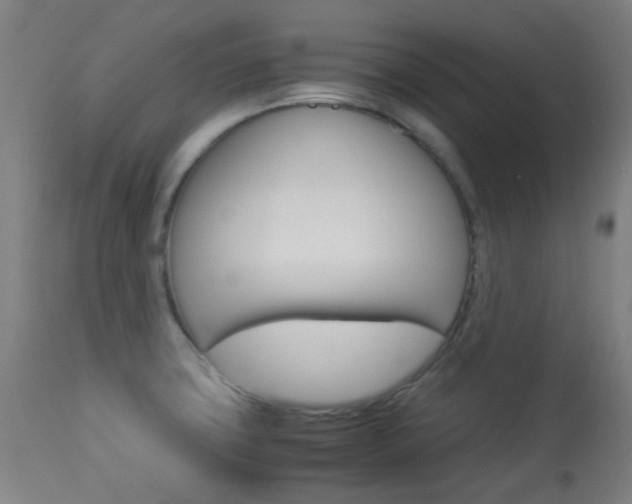 X0000113911427200909241254