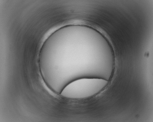 X0000113911429200909241254