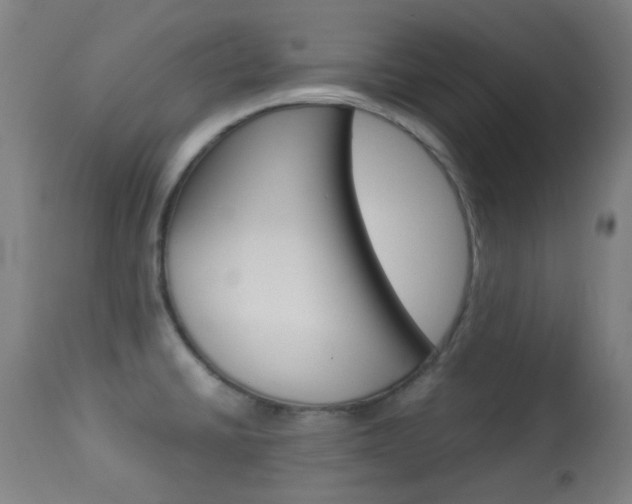 X0000113911430200909241254