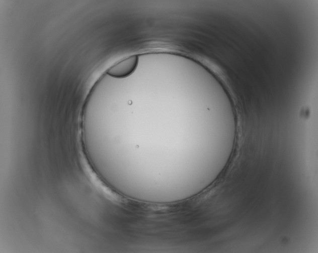 X0000113911431200909241254