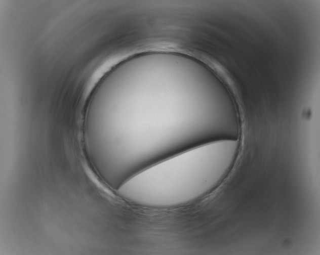 X0000113911432200909241254