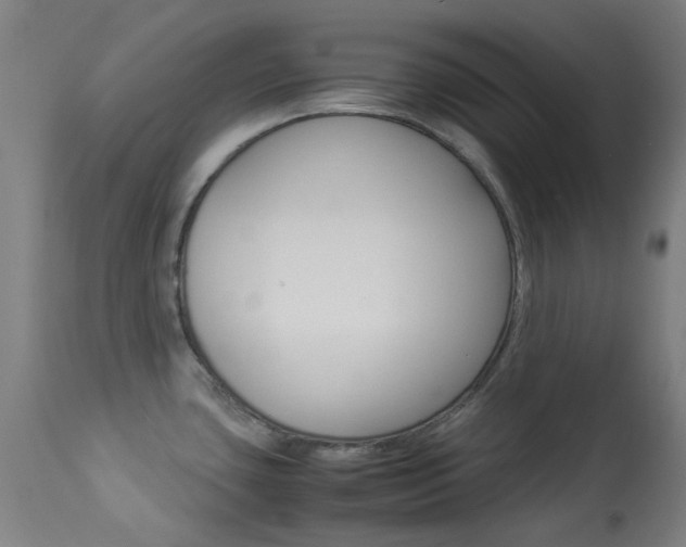 X0000113911435200909241254