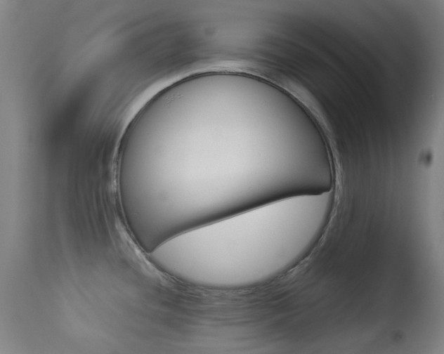 X0000113911436200909241254