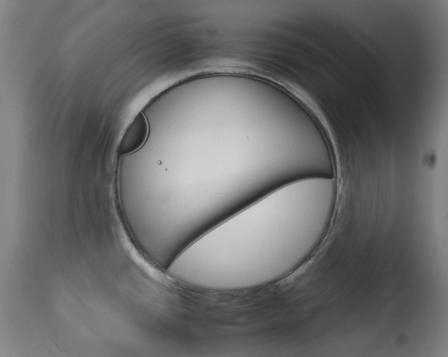 X0000113911437200909241254