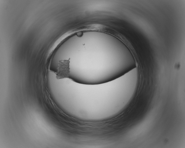 X0000113911438200909241254