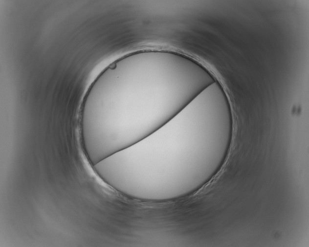 X0000113911440200909241255