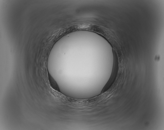 X0000113911441200909241254