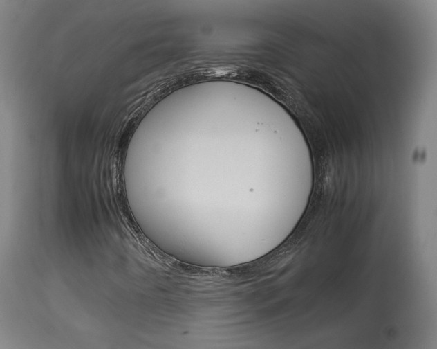 X0000113911442200909241254