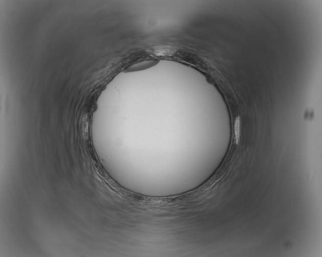 X0000113911443200909241254