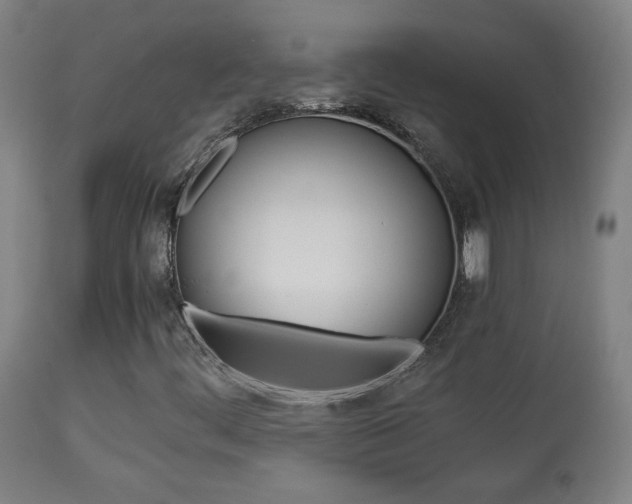 X0000113911444200909241254